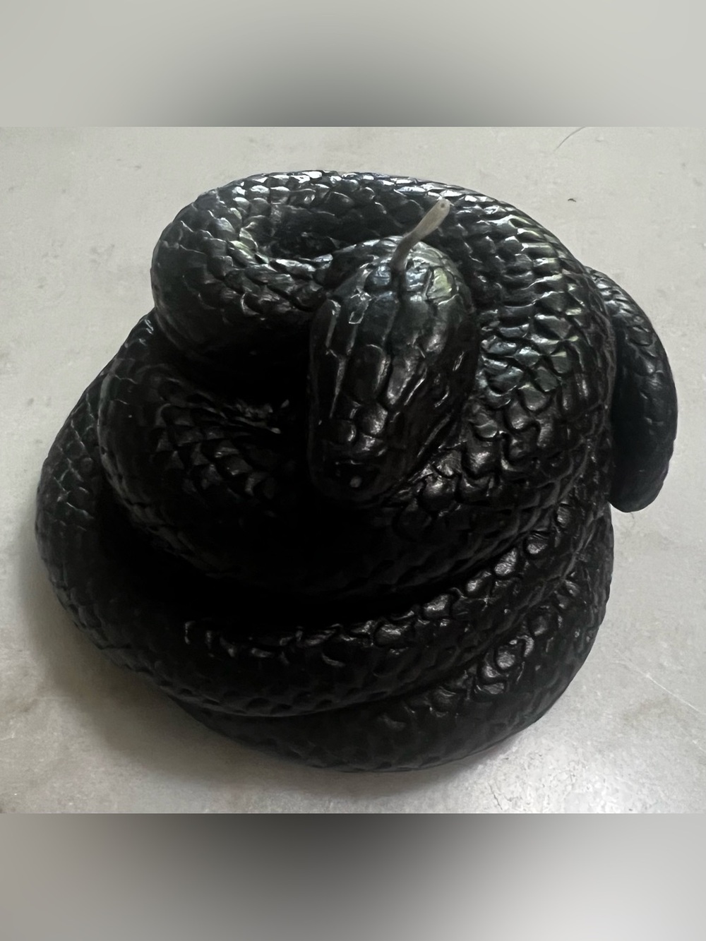 Enchanted Black Coiled Snake Candle Gothic Halloween Wicca